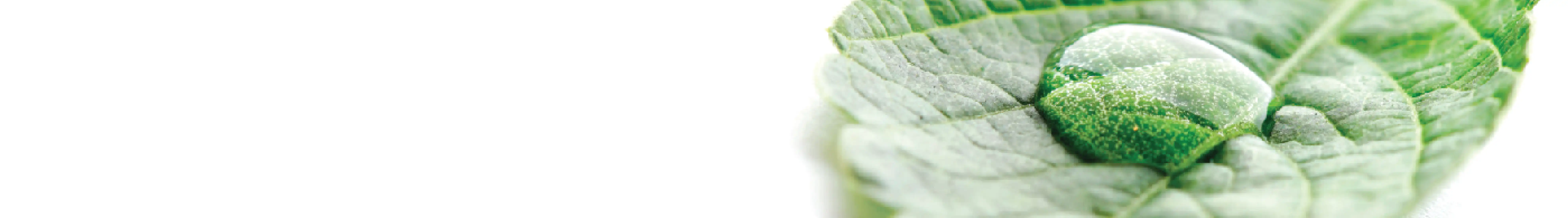 مذيبات LC-MS من Scharlau